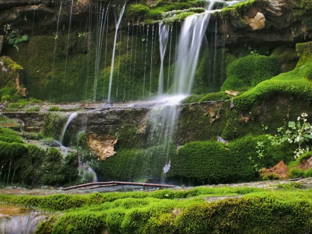 Into the Waterfall Forests