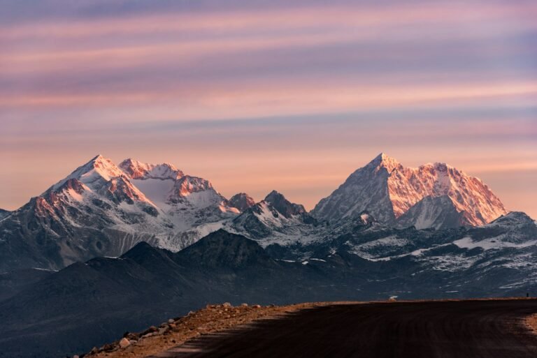 Caravans of the High Himalaya