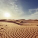 The Silk Road Revisited